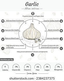 Garlic Health benefits. showing the benefits of garlic. Ready to print, easy to edit, vector file, ready to use