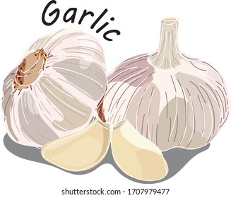 Garlic is an herb. Able to cure colds