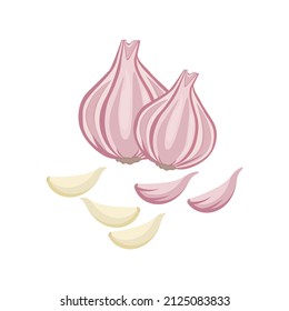 Garlic highlighted on white background. Vector color illustration of sliced garlic, garlic clove, garlic bulb in cartoon flat style