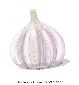 Garlic icon in cartoon style. Vegetarian, organic food. Vector Illustration.