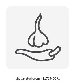 Garlic icon for cooking design, editable stroke.