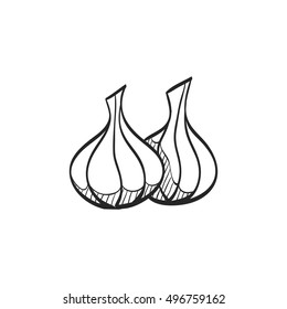 Garlic icon in doodle sketch lines. Food ingredient cooking organic