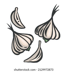 Garlic icon in a flat design on a white background
