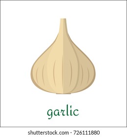 Garlic icon in flat style. Isolated object, logo. Vegetable from the farm. Organic food. Vector illustration.