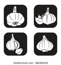 Garlic icon in four variations