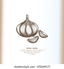 Garlic icon. Hand draw garlic