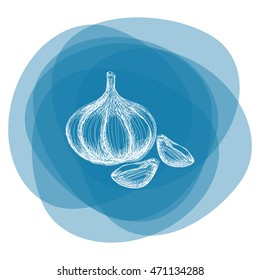 Garlic icon. Hand draw garlic