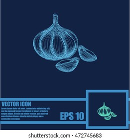 Garlic icon. Hand draw garlic