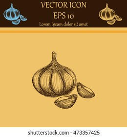 Garlic icon. Hand draw garlic
