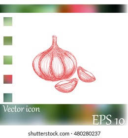 Garlic icon. Hand draw garlic