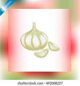 Garlic icon. Hand draw garlic
