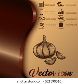 Garlic icon. Hand draw garlic