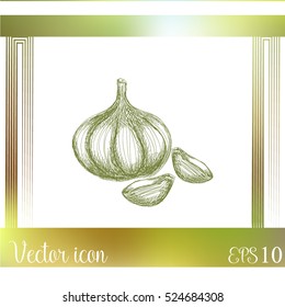 Garlic icon. Hand draw garlic