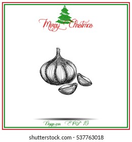 Garlic icon. Hand draw garlic