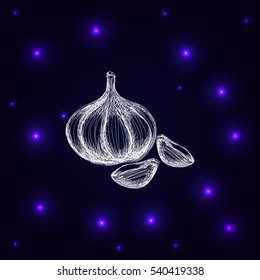 Garlic icon. Hand draw garlic