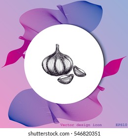 Garlic icon. Hand draw garlic