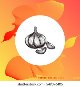 Garlic icon. Hand draw garlic