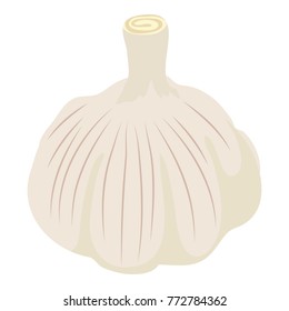 Garlic icon. Isometric illustration of garlic vector icon for web