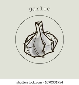 Garlic icon or logo in flat style. Vegetable from the garden. Organic food. Vector illustration Garlic.