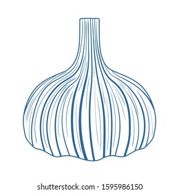 Garlic Icon. Thin Line With Blue Fill Design. Vector Illustration.