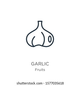 Garlic icon. Thin linear garlic outline icon isolated on white background from fruits collection. Line vector sign, symbol for web and mobile