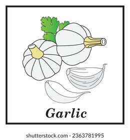 Garlic icon vector illustration symbol design