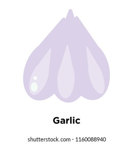 Garlic icon vector isolated on white background, Garlic transparent sign