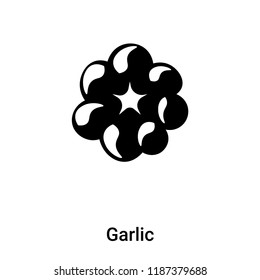 Garlic icon vector isolated on white background, logo concept of Garlic sign on transparent background, filled black symbol