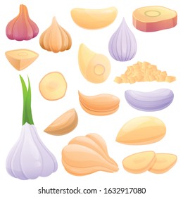 Garlic icons set. Cartoon set of garlic vector icons for web design