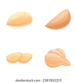 Garlic icons set cartoon vector. Fresh organic garlic. Farm vegetable