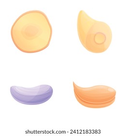 Garlic icons set cartoon vector. Fresh organic garlic. Farm vegetable