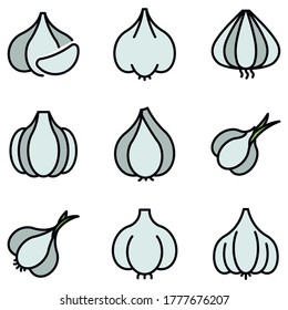 Iconos de ajo. Conjunto de esquemas de iconos vectoriales de ajo color de línea delgada plano sobre blanco