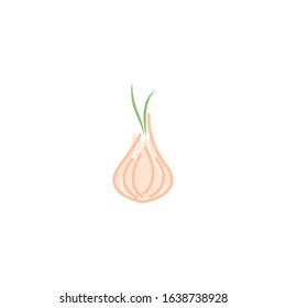 Garlic illustration logo icon vector design