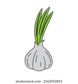 Garlic illustration logo icon vector design