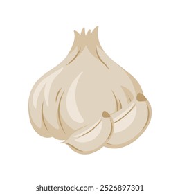 Ilustración de ajo - Vector individual 06