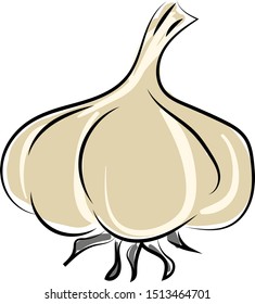 Ajo, ilustración, vector sobre fondo blanco.