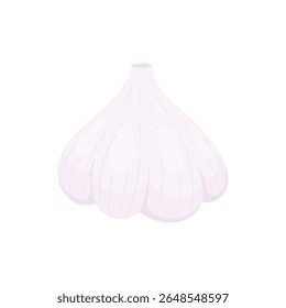 Alho. Ingrediente para cozinhar. Vegetal.