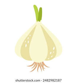 Garlic. Ingredient for a dish. Healthy food. Vegetarian product. Vector illustration.