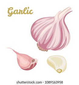 Garlic Isolated On White Background.  Vector Illustration Of Sliced Garlic, Garlic Clove, Garlic Bulb In A Flat Style.  Healthy Food.
