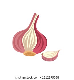 Garlic isolated on white background. Vector illustration of sliced garlic, garlic clove, garlic bulb in a flat style. Healthy food.