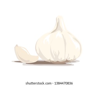 Garlic isolated on white background. Vector illustration.