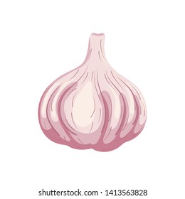 Garlic isolated on white background. Organic food. Cartoon style. Vector illustration for design.