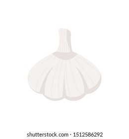 garlic isolated on white background. Vector illustration. Eps 10.
