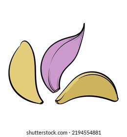 Garlic isolated on white background. Hand drawn. Vector illustration.