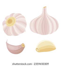 Garlic isolated on white background. Vector eps 10. perfect for wallpaper or design elements	