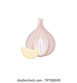 Garlic  isolated on white background. Vector illustration. ingredients for cooking.