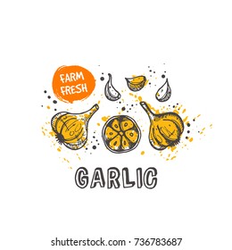 Garlic isolated set. Hand drawn vector illustration with watercolor splash. Can be used for street festival, farmers market, country fair, shop, menu, cafe, restaurant, poster, banner.