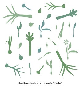 Garlic, leek and onion silhouettes - vector illustration