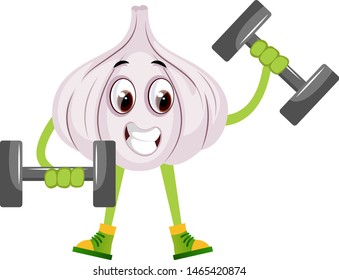 Garlic lifting weights, illustration, vector on white background.