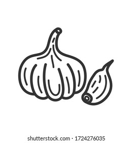 Icono de línea de ajo. Ilustración vectorial.